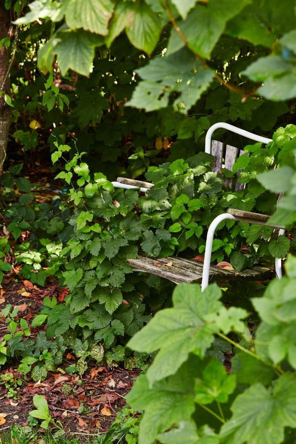 Skovsgårde Rosenlund Bed & Breakfast المظهر الخارجي الصورة