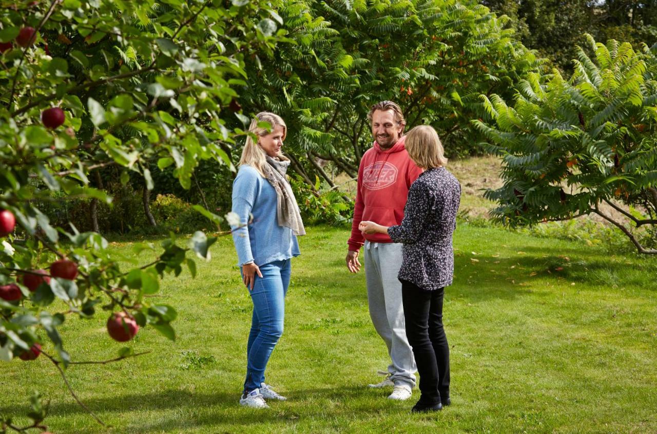 Skovsgårde Rosenlund Bed & Breakfast المظهر الخارجي الصورة