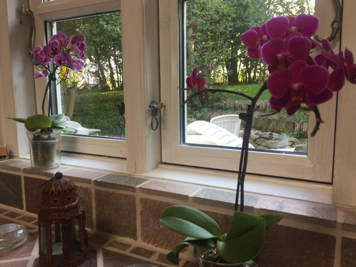 Skovsgårde Rosenlund Bed & Breakfast المظهر الخارجي الصورة