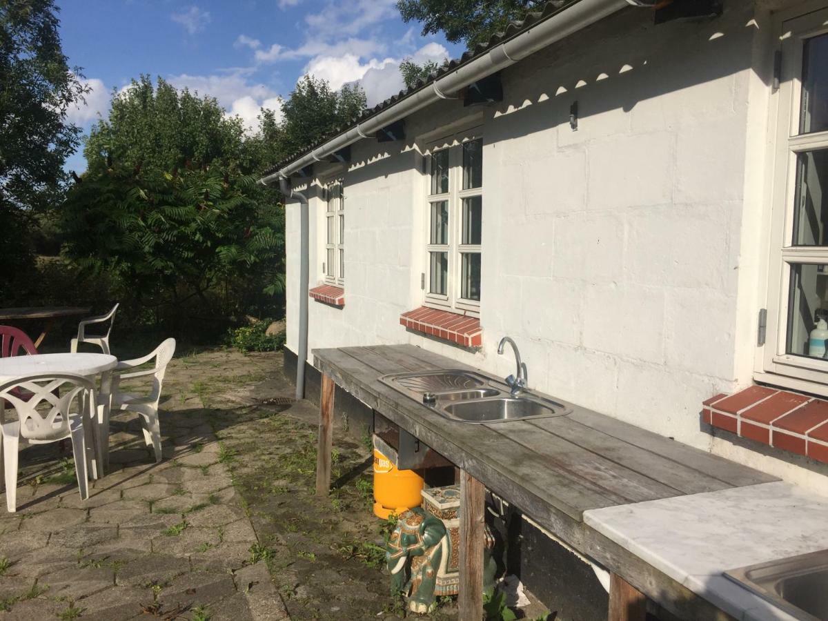 Skovsgårde Rosenlund Bed & Breakfast المظهر الخارجي الصورة