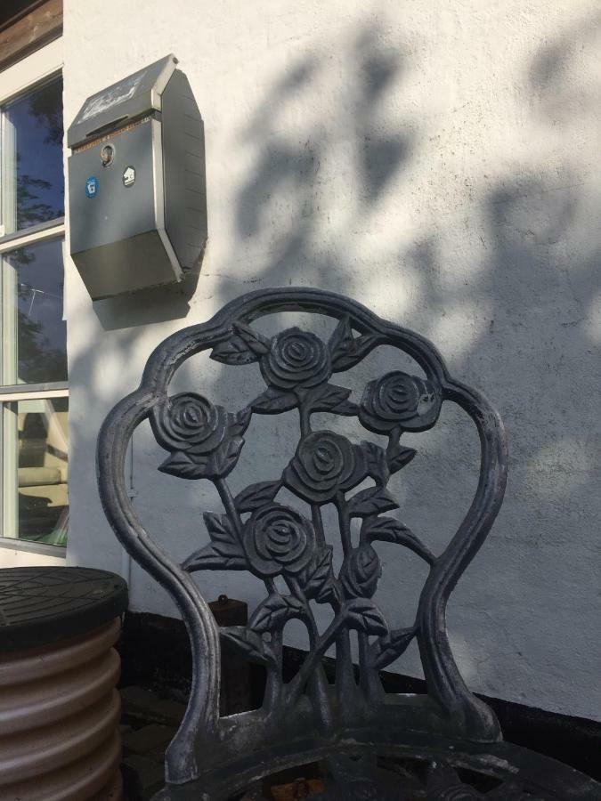 Skovsgårde Rosenlund Bed & Breakfast المظهر الخارجي الصورة
