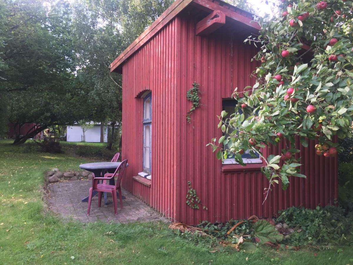 Skovsgårde Rosenlund Bed & Breakfast المظهر الخارجي الصورة