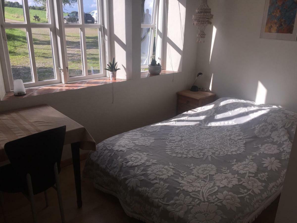 Skovsgårde Rosenlund Bed & Breakfast المظهر الخارجي الصورة